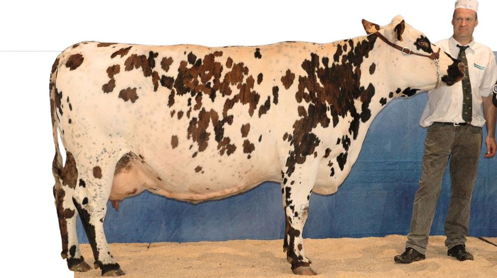 © JEAN-MICHEL VOCORET