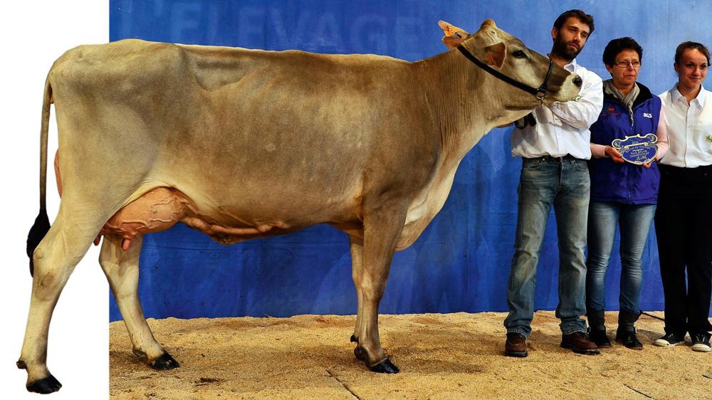 © JÉRÔME CHABANNE