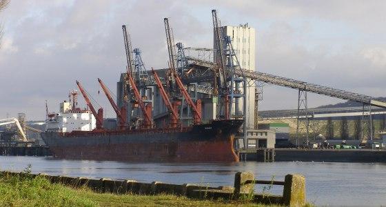 Recul des exportations mondiales de maïs attendu par FranceAgriMer