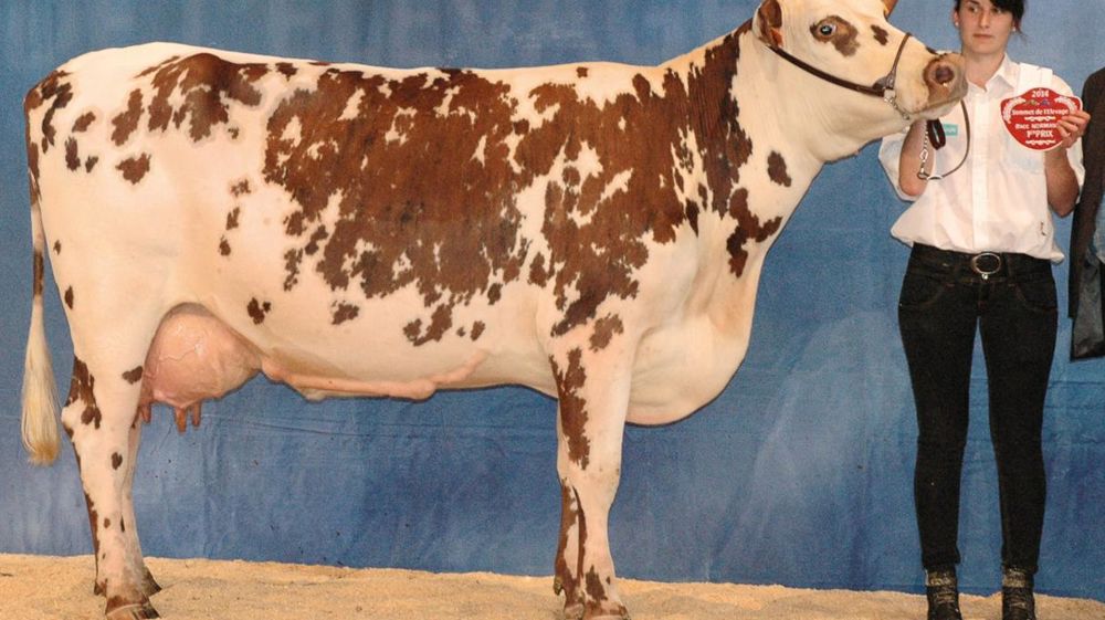 © JEAN-MICHEL VOCORET