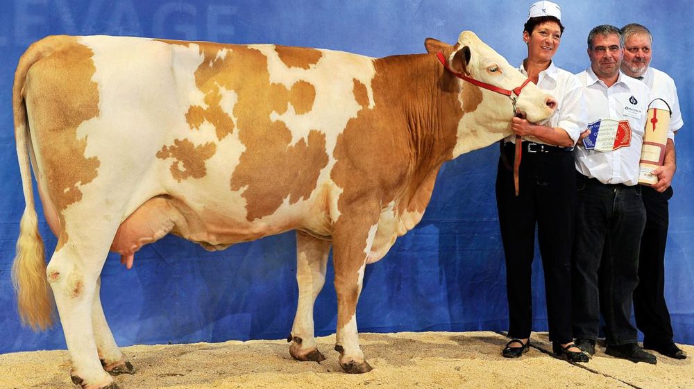 © JÉRÔME CHABANNE