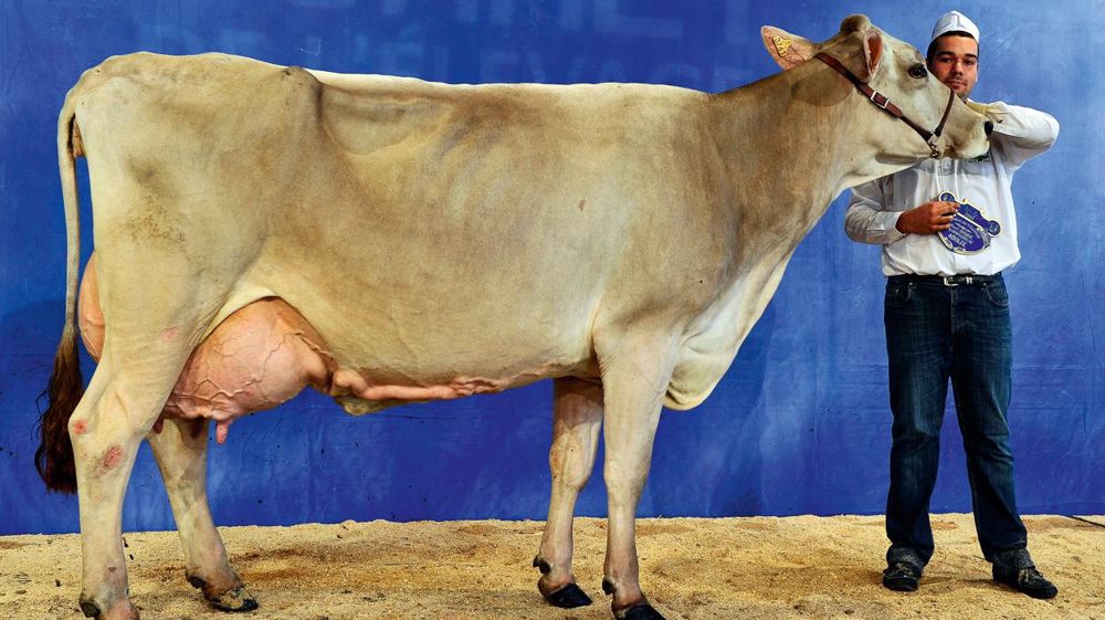 © JÉRÔME CHABANNE