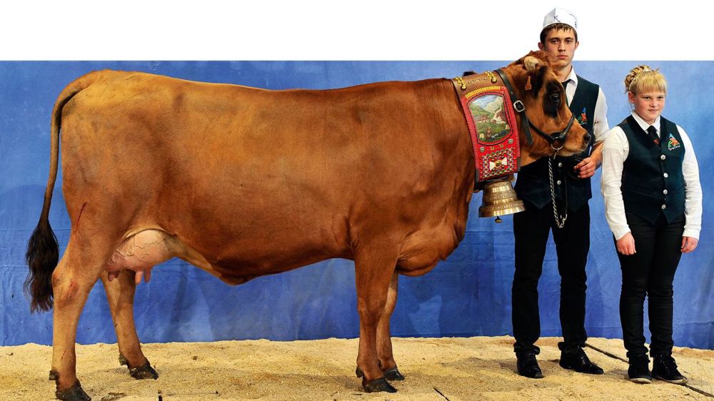 © JÉRÔME CHABANNE