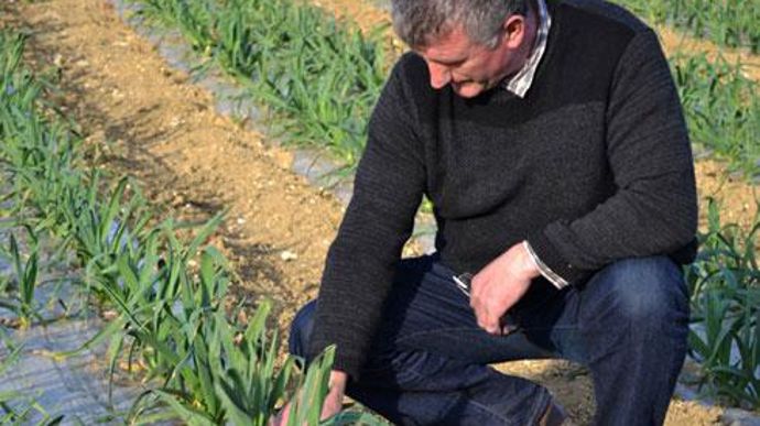 Jean-Luc Cantaloup, nouveau référent maraîchage de la coopérative, depuis janvier dernier, a la responsabilité du déploiement de cette nouvelle offre.  Jean-Luc Cantaloup, nouveau référent maraîchage de la coopérative, depuis janvier dernier, a la responsabilité du déploiement de cette nouvelle offre. 