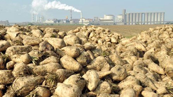 Les nouveaux élus des régions Nord, Nord Littoral et Picardie Ouest voudraient que les dirigeants de Tereos suspendent leur projet d'ouverture de capital. © P. MONTIGNY Les nouveaux élus des régions Nord, Nord Littoral et Picardie Ouest voudraient que les dirigeants de Tereos suspendent leur projet d'ouverture de capital. © P. MONTIGNY