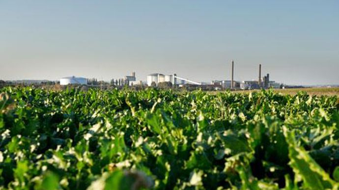 Tereos s'est fixé comme objectif pour 2020, 75 % de matières premières classées « durables », une réduction de 10 % de sa consommation en énergie et une baisse de 20 % de sa consommation en eau. Ici, la sucrerie de Boiry-Sainte-Rictrude dans le Pas-de-Calais. Tereos s'est fixé comme objectif pour 2020, 75 % de matières premières classées « durables », une réduction de 10 % de sa consommation en énergie et une baisse de 20 % de sa consommation en eau. Ici, la sucrerie de Boiry-Sainte-Rictrude dan