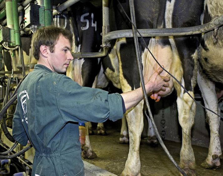 Si tous les autres éléments pouvant influer sur la fertilité sont calés, l'éleveur pourra envisager d'utiliser du Metacam, même sur des mammites légères ou modérées.© CHRISTIAN WATIER