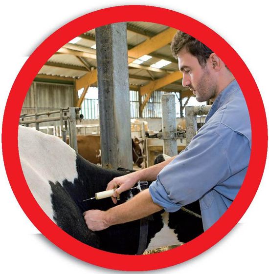 © PHOTOS CLAUDIUS THIRIET