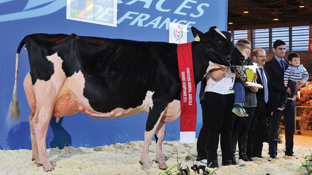 REPORTAGE PHOTOS © JÉRÔME CHABANNE 