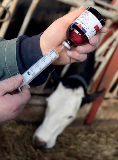 La SNGTV met à la disposition des vétérinaires un module de formation pour les éleveurs sur le thème de l'antibiorésistance.© Claudius THIRIET