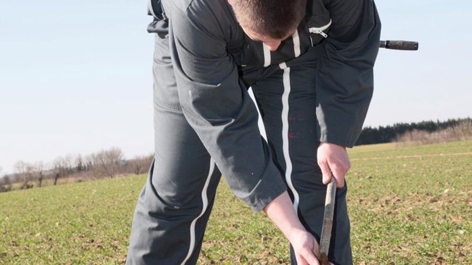 Auréa calcule un reliquat moyen en sortie d'hiver de 71 kg N/ha.S. CHAMPION