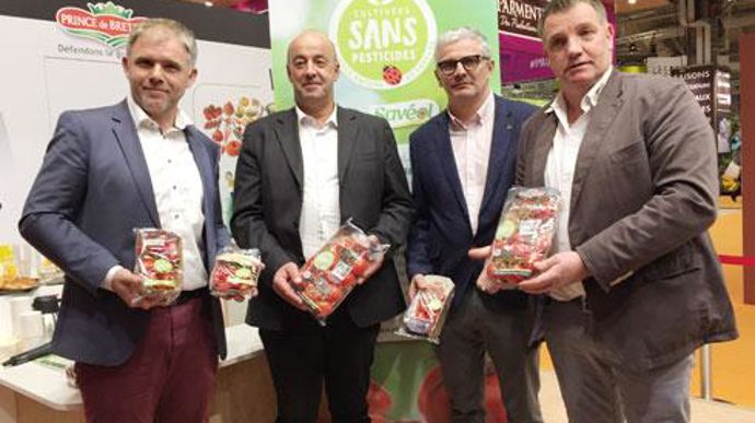 Les quatre présidents de l'Alliance nature et saveurs (de g. à dr.) : Pierre-Yves Jestin (Savéol), Marc Keranguéven (Sica Saint-Pol et Cerafel-Prince de Bretagne), Christophe Rousse (Solarenn) et Gilbert Brouder (UCPT-Prince de Bretagne). © H. LAURANDEL Les quatre présidents de l'Alliance nature et saveurs (de g. à dr.) : Pierre-Yves Jestin (Savéol), Marc Keranguéven (Sica Saint-Pol et Cerafel-Prince de Bretagne), Christophe Rousse (Solarenn) et Gilbert Brouder (UCPT-Prince de Bretagne). © H. LA