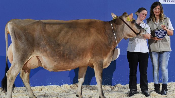 Une mamelle exceptionnelle