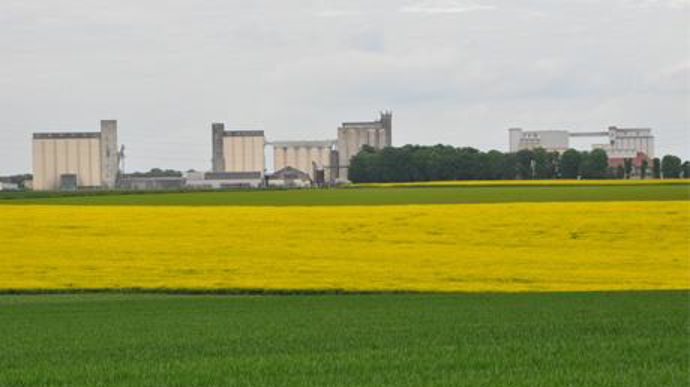 L'adhésion de Valfrance à Ceremis ne remet pas en cause sa spécificité de productions de grande qualité. La coopérative de l'Oise va au contraire, apporter à l'union de commercialisation son savoir-faire dans les filières de différenciation. L'adhésion de Valfrance à Ceremis ne remet pas en cause sa spécificité de productions de grande qualité. La coopérative de l'Oise va au contraire, apporter à l'union de commercialisation son savoir-faire dans les filières de différenciation.
