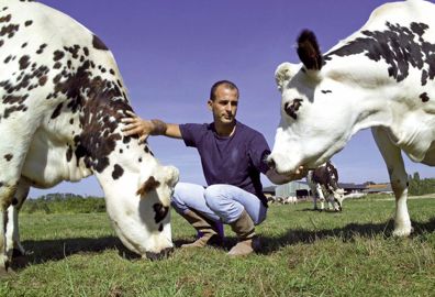 Visiter fréquemment ses bovins, les toucher et leur parler avec une voix grave et monocorde favorise la bonne relation homme-animal.© CHRISTIAN WATIER