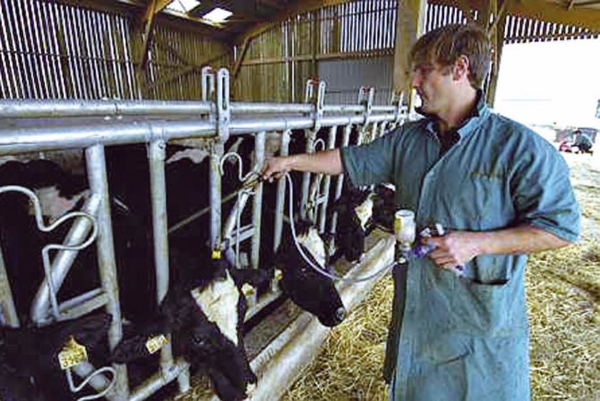 Le nombre de cerfs séropositifs s'élève à 40,9 % et varie de 8 % à plus de 70 % selon le territoire.