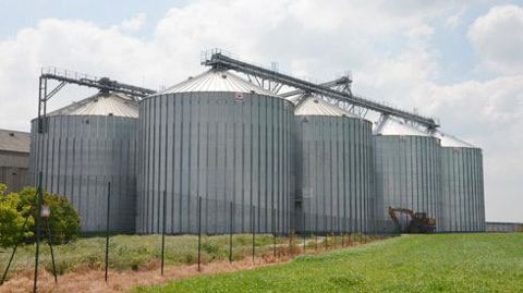 Implantés à Epieds-en-Beauce, dans le Loiret, le négoce Leplâtre se développe à grande vitesse en petite Beauce et sur l'est du Loir-et-Cher. © A. RICHARD Implantés à Epieds-en-Beauce, dans le Loiret, le négoce Leplâtre se développe à grande vitesse en petite Beauce et sur l'est du Loir-et-Cher. © A. RICHARD