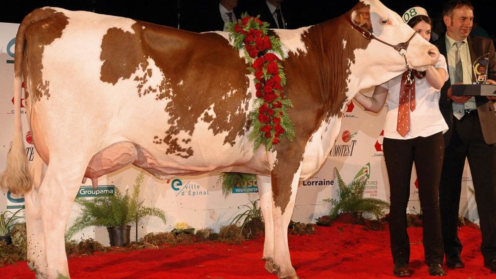 ©  JEAN-MICHEL VOCORET