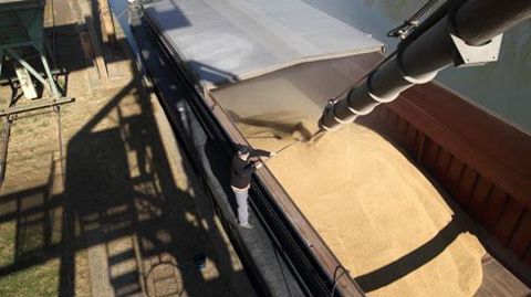 L'opération devait apporter à Vivescia une palette de clients et des marchés internationaux supplémentaires notamment pour les orges brassicoles dont le commerce est en croissance. © GUTNER L'opération devait apporter à Vivescia une palette de clients et des marchés internationaux supplémentaires notamment pour les orges brassicoles dont le commerce est en croissance. © GUTNER L'opération devait apporter à Vivescia une palette de clients et des marchés internationaux supplémentaires notamment pour les orges brassicoles dont le commerce est en croissance. © GUTNER L'opération devait apporter à Vivescia une palette de clients et des marchés internationaux supplémentaires notamment pour les orges brassicoles dont le commerce est en croissance. © GUTNER