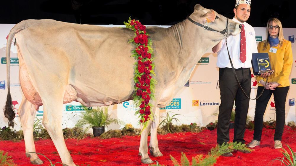 ©  CLAUDIUS THIRIET