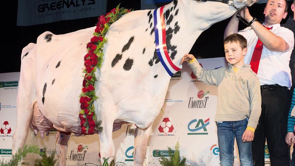 ©  CLAUDIUS THIRIET