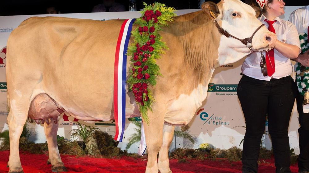 ©  CLAUDIUS THIRIET