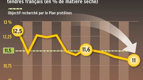 Décourageant. Avec un taux de protéines moyen de 11 %, le blé tendre enregistre son plus mauvais résultat depuis 2001. Les niveaux les plus bas sont atteints dans les régions situées au nord de la Loire. Vivescia par exemple obtient 10,7 % et perd 0,5 point de protéines en huit ans, sans augmentation de rendement. En affichant 13,2 %, le blé dur n'est pas épargné par cette érosion continue. Décourageant. Avec un taux de protéines moyen de 11 %, le blé tendre enregistre son plus mauvais résultat depuis 2001. Les niveaux les plus bas sont atteints dans les régions situées au nord de la Loire. Vivescia par exemple obtient 10,7 % et perd 0,5 point de protéines en huit ans, sans augmentation de rendement. En affichant 13,2 %, le blé dur n'est pas épargné par cette érosion continue.