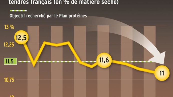 Décourageant. Avec un taux de protéines moyen de 11 %, le blé tendre enregistre son plus mauvais résultat depuis 2001. Les niveaux les plus bas sont atteints dans les régions situées au nord de la Loire. Vivescia par exemple obtient 10,7 % et perd 0,5 point de protéines en huit ans, sans augmentation de rendement. En affichant 13,2 %, le blé dur n'est pas épargné par cette érosion continue.