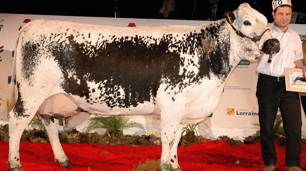 ©  JEAN-MICHEL VOCORET