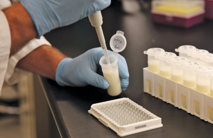 Le kit Idexx de détection de la gestation est un test immuno-enzymatique permettant de détecter, dans les échantillons de lait, les glycoprotéines associées à la gestation. Le kit Idexx de détection de la gestation est un test immuno-enzymatique permettant de détecter, dans les échantillons de lait, les glycoprotéines associées à la gestation.