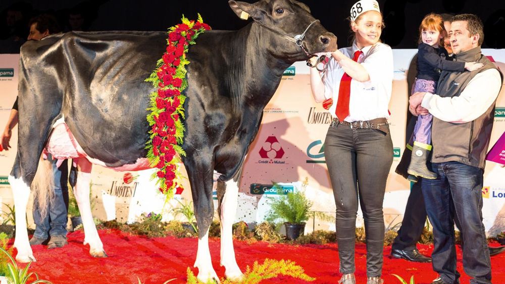 ©  CLAUDIUS THIRIET