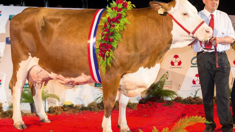 ©  CLAUDIUS THIRIET