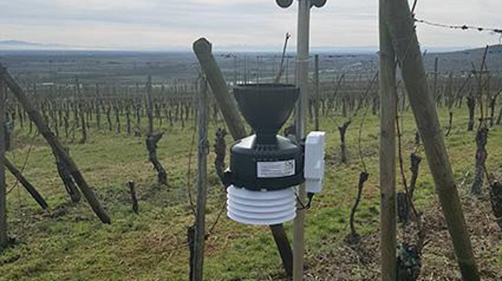 Une quarantaine de stations de ce type ont été installées pour couvrir tout le vignoble alsacien. © CAC Une quarantaine de stations de ce type ont été installées pour couvrir tout le vignoble alsacien. © CAC