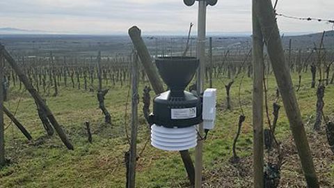 Une quarantaine de stations de ce type ont été installées pour couvrir tout le vignoble alsacien. © CAC Une quarantaine de stations de ce type ont été installées pour couvrir tout le vignoble alsacien. © CAC