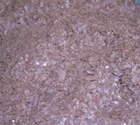 La nouvelle présentation en paillettes du Protensil convient bien aux éleveurs pour l'utilisation en mélangeuse, ainsi que pour l'incorporation dans des mash (ration sèche). La nouvelle présentation en paillettes du Protensil convient bien aux éleveurs pour l'utilisation en mélangeuse, ainsi que pour l'incorporation dans des mash (ration sèche).