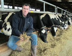 Le maïs-ensilage contient 34,2 % d'amidon. Pour le diluer, Philippe Marie ajoute 1 kg de MS de pulpes de betteraves surpressées et 1,5 kg de MS d'enrubannage de prairies naturelles.© C.H. Le maïs-ensilage contient 34,2 % d'amidon. Pour le diluer, Philippe Marie ajoute 1 kg de MS de pulpes de betteraves surpressées et 1,5 kg de MS d'enrubannage de prairies naturelles.© C.H.