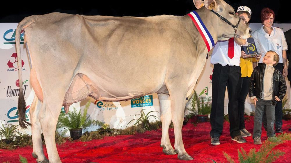 ©  CLAUDIUS THIRIET