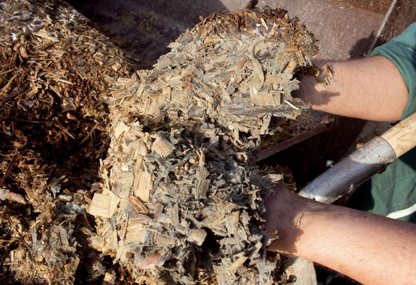 Trouver une ou plusieurs mycotoxines dans un échantillon d'ensilage prélevé comme il se doit (là ou il y a ou pas contamination par des champignons) ne signifie pas obligatoirement que ces toxines sont à l'origine des troubles sévissant dans l'élevage© SÉBASTIEN CHAMPION