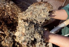 Trouver une ou plusieurs mycotoxines dans un échantillon d'ensilage prélevé comme il se doit (là ou il y a ou pas contamination par des champignons) ne signifie pas obligatoirement que ces toxines sont à l'origine des troubles sévissant dans l'élevage© SÉBASTIEN CHAMPION Trouver une ou plusieurs mycotoxines dans un échantillon d'ensilage prélevé comme il se doit (là ou il y a ou pas contamination par des champignons) ne signifie pas obligatoirement que ces toxines sont à l'origine des troubles sévissant dans l'élevage© SÉBASTIEN CHAMPION