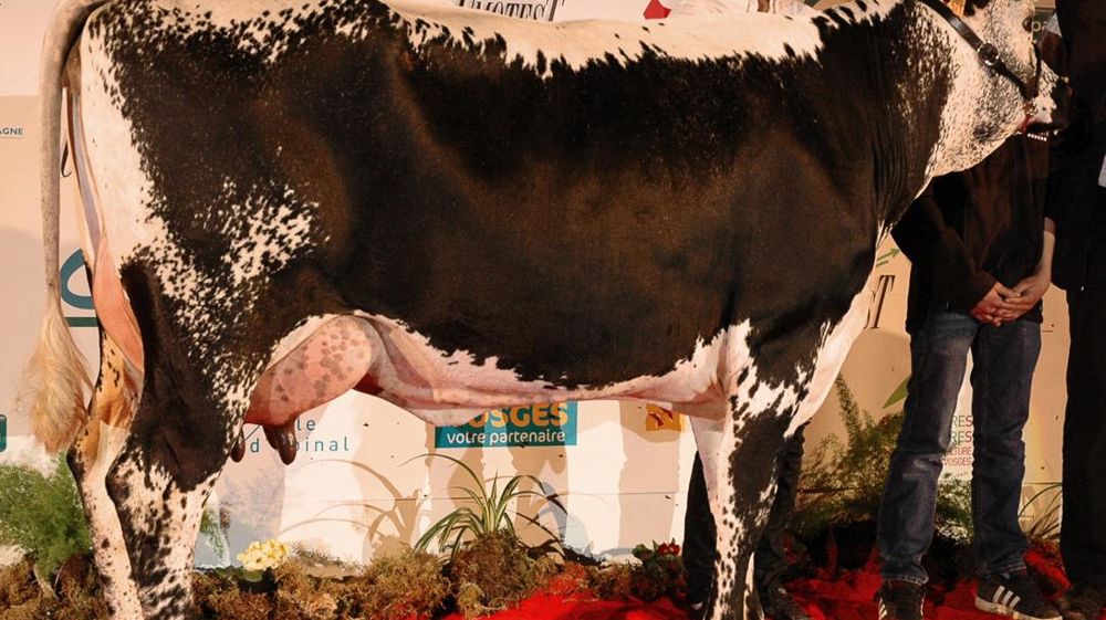 ©  JEAN-MICHEL VOCORET