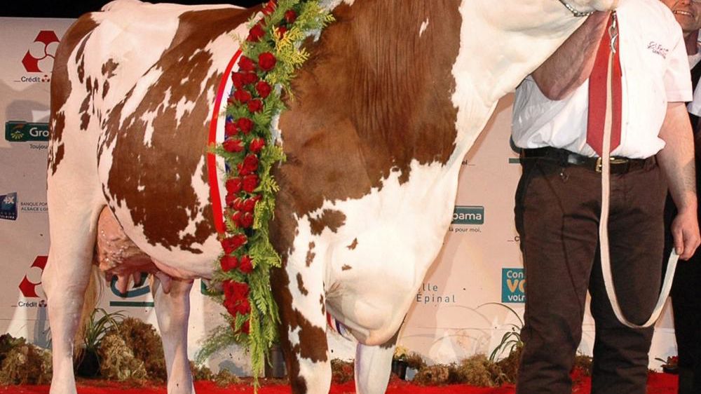 ©  JEAN-MICHEL VOCORET