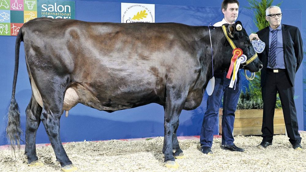 © JÉRÔME CHABANNE