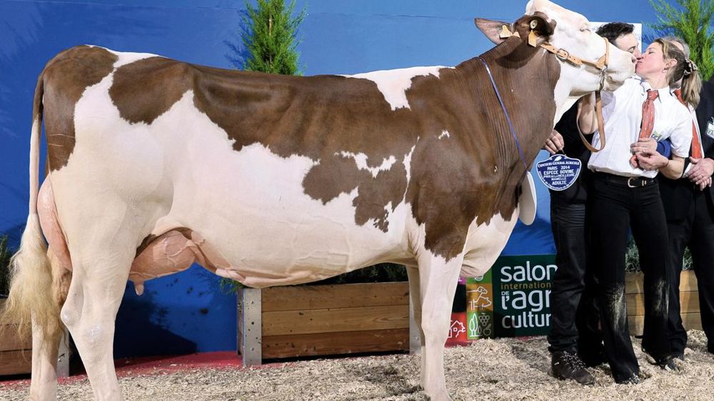 © JÉRÔME CHABANNE