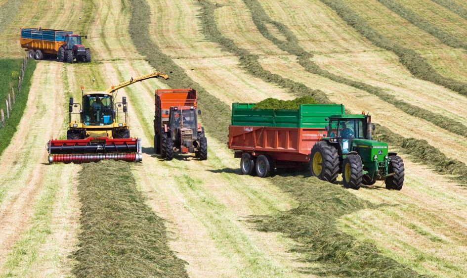 En moyenne, les ensilages récoltés dans le Puy-de-Dôme en 2012 affichent un taux de 30 % de MS. « Le compromis idéal entre ingestion et conservation. »© CLAUDIUS THIRIET En moyenne, les ensilages récoltés dans le Puy-de-Dôme en 2012 affichent un taux de 30 % de MS. « Le compromis idéal entre ingestion et conservation. »© CLAUDIUS THIRIET
