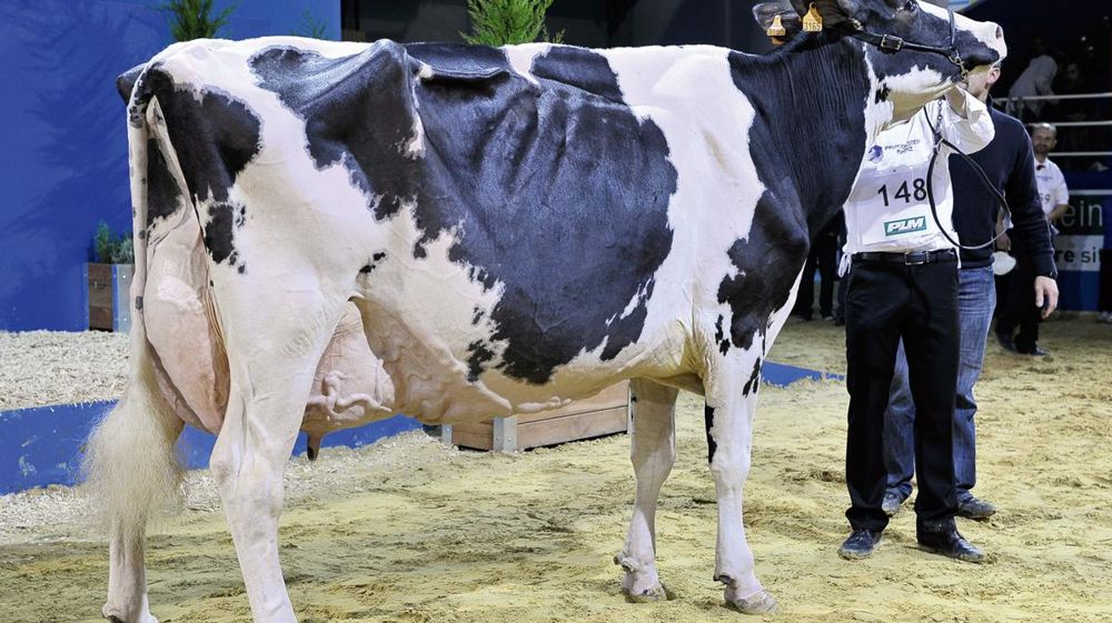 © JÉRÔME CHABANNE