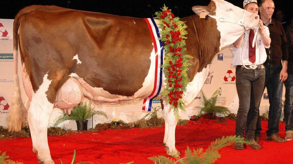 ©  JEAN-MICHEL VOCORET