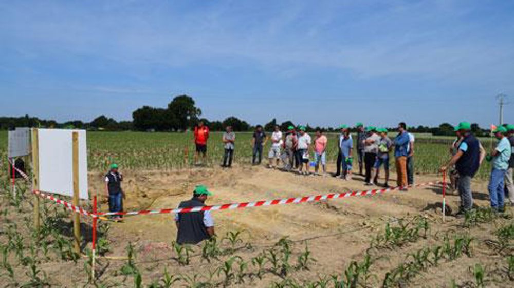 Ateliers pratiques le 2 juin au Gaec Vignais, à Montreuil-sur-Maine. Avec Fertilio e-RM, Terrena propose à ses adhérents de raisonner leurs intrants à partir de la connaissance du sol. © A. MABIRE Ateliers pratiques le 2 juin au Gaec Vignais, à Montreuil-sur-Maine. Avec Fertilio e-RM, Terrena propose à ses adhérents de raisonner leurs intrants à partir de la connaissance du sol. © A. MABIRE
