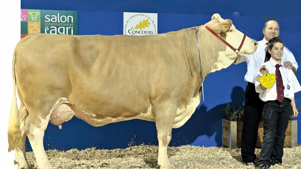 © JÉRÔME CHABANNE