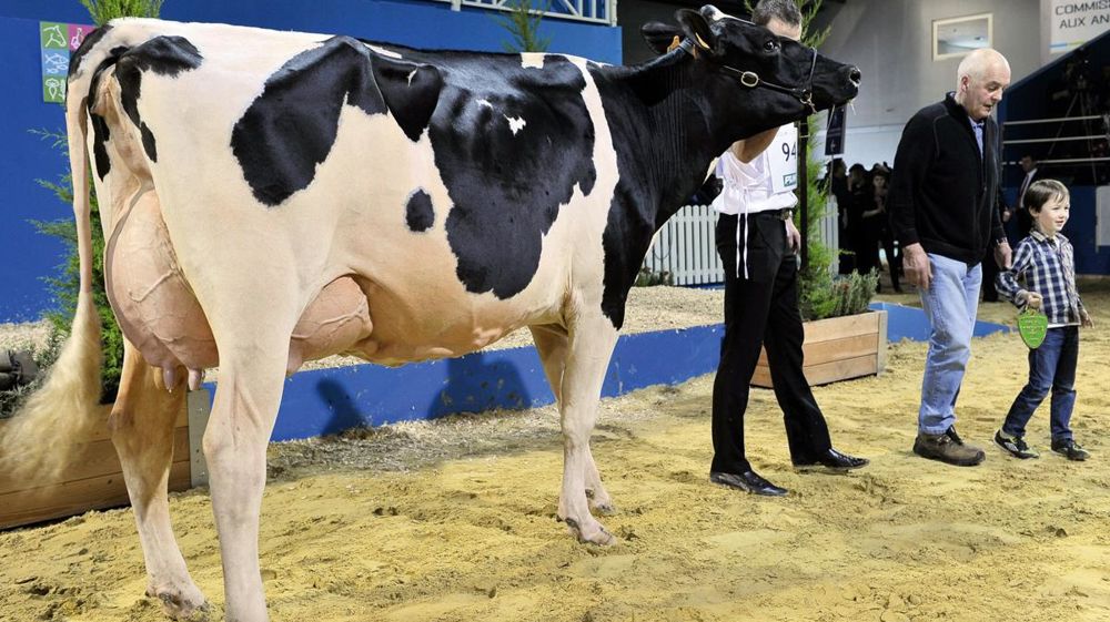 © JÉRÔME CHABANNE