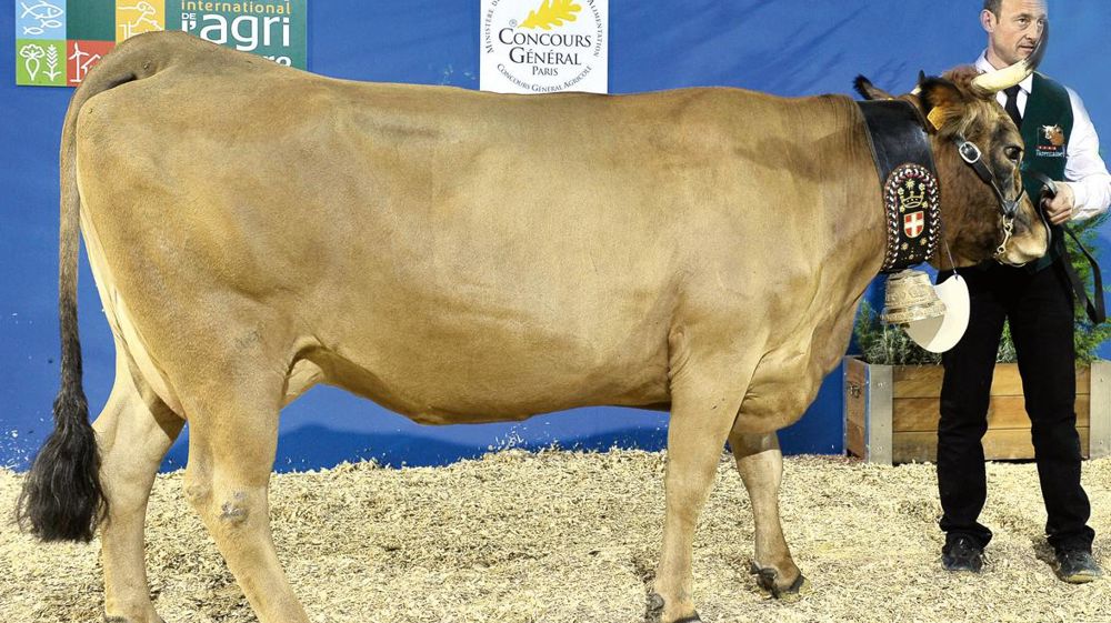 © JÉRÔME CHABANNE